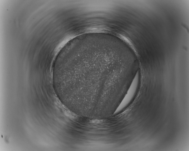 X0000099941419200806131415