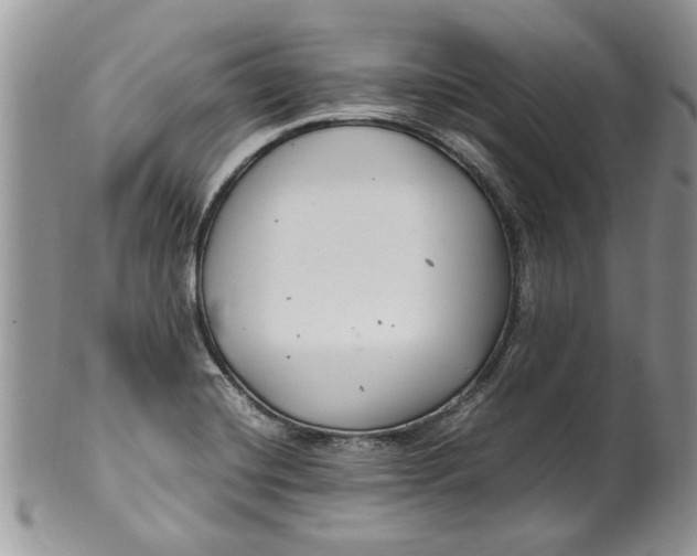 X0000099941420200806131415