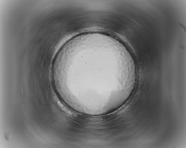 X0000099941421200806131415