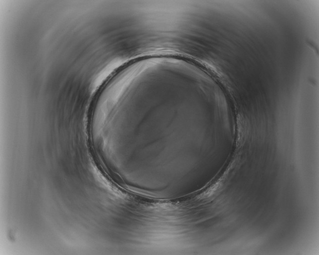 X0000099941422200806131415