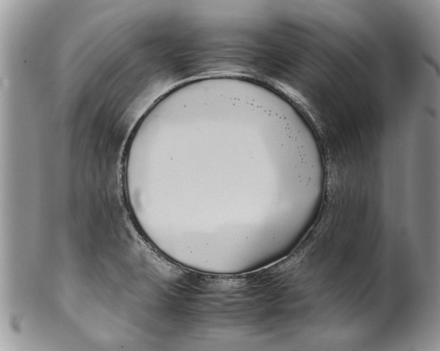 X0000099941423200806131415