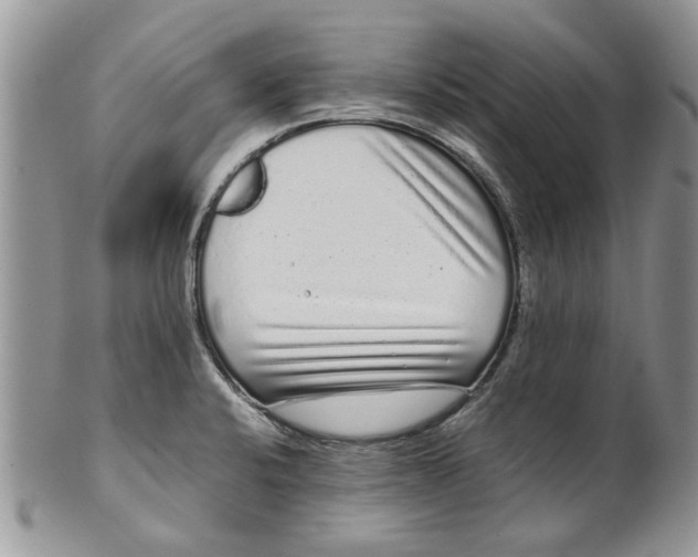 X0000099941424200806131415