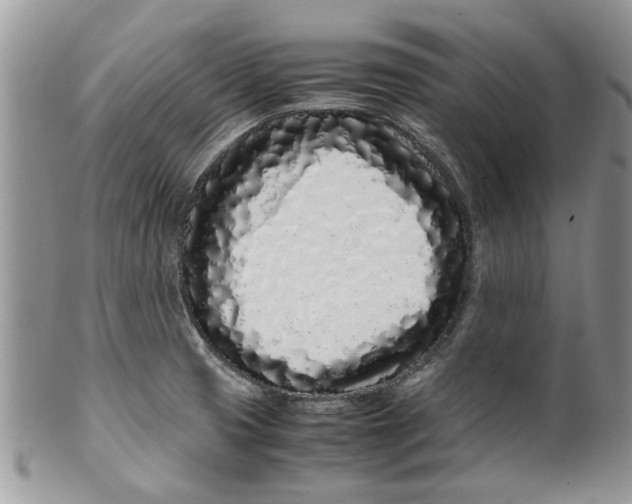 X0000099941425200806131415