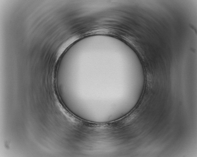 X0000099941426200806131415