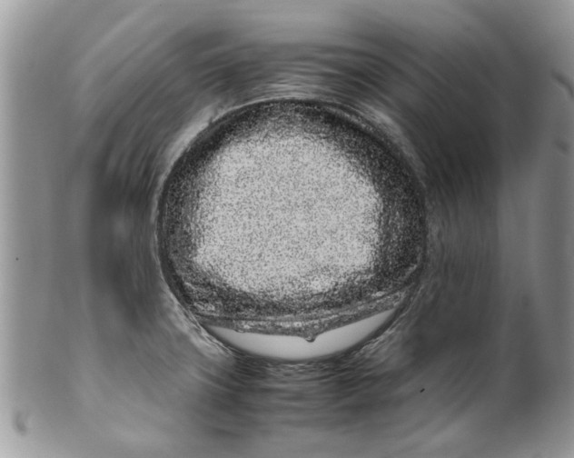 X0000099941427200806131415