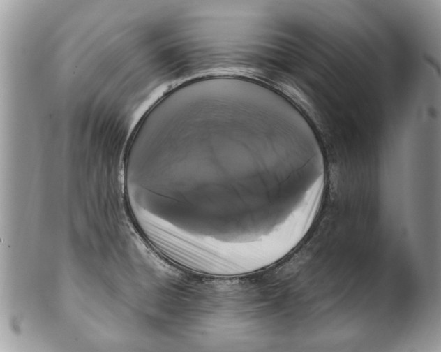 X0000099941428200806131415