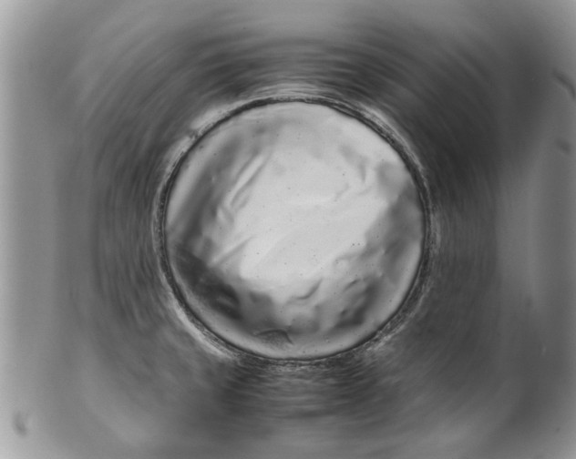 X0000099941429200806131415