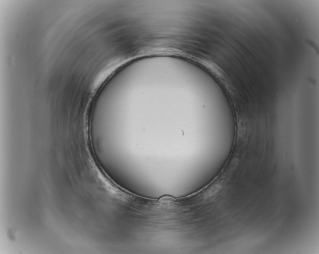 X0000099941430200806131415