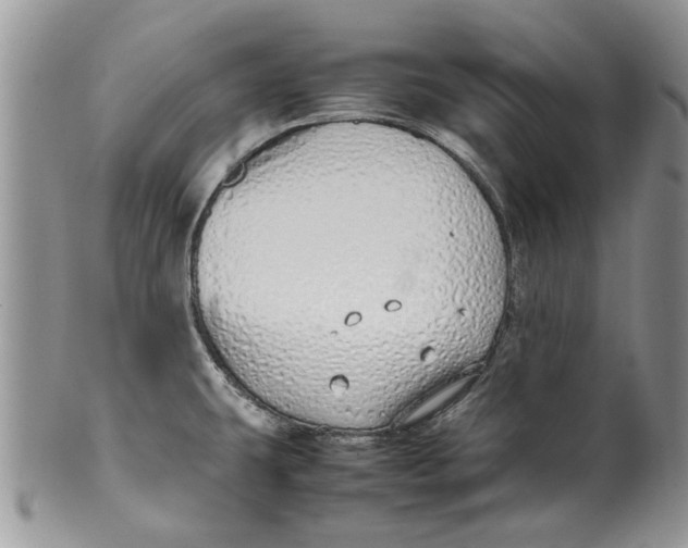 X0000099941431200806131415