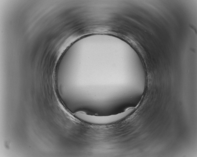 X0000099941432200806131415