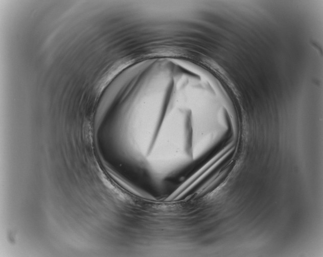 X0000099941433200806131415