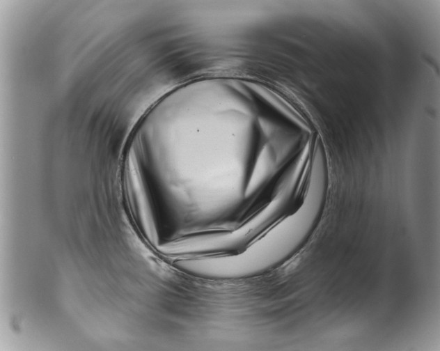 X0000099941434200806131415