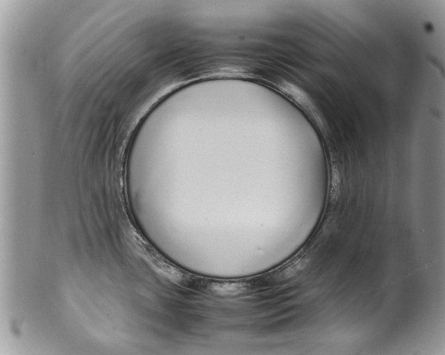 X0000099941435200806131415