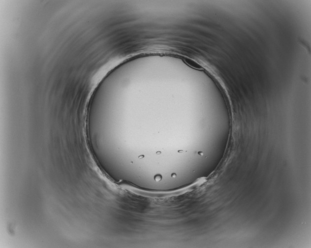 X0000099941437200806131415