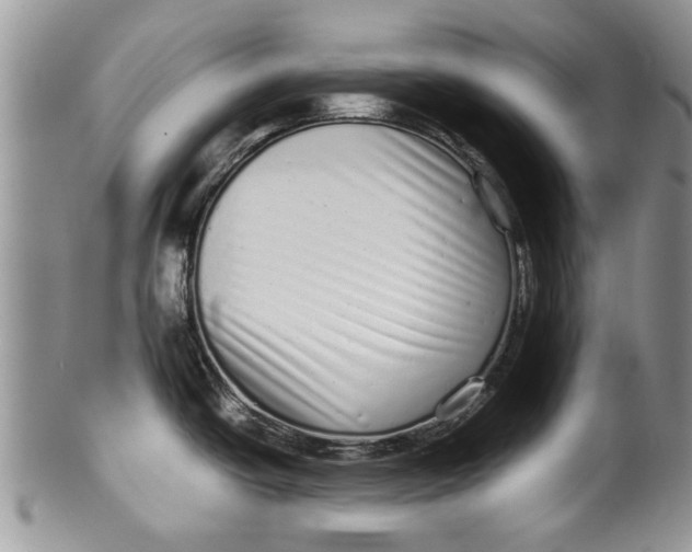 X0000099941438200806131415