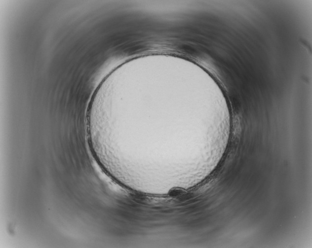 X0000099941439200806131415