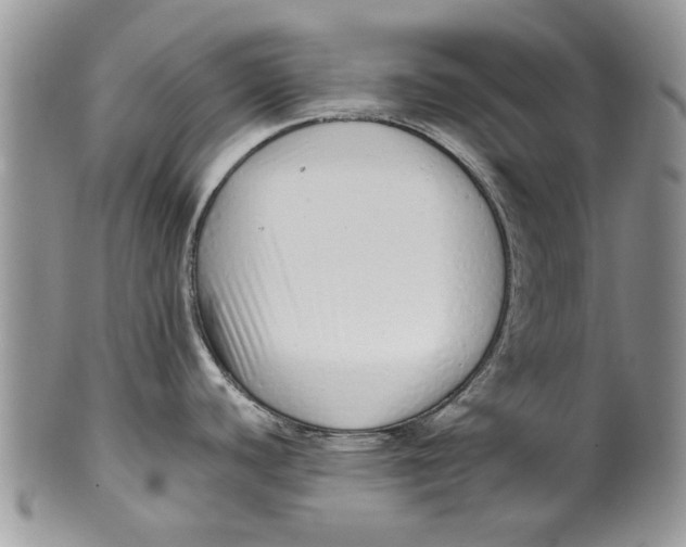 X0000099941440200806131415