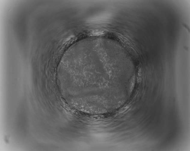 X0000099941441200806131415