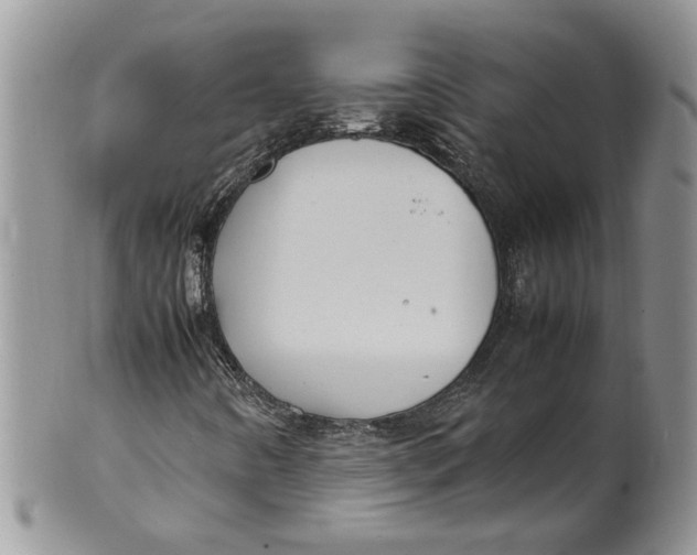 X0000099941442200806131415