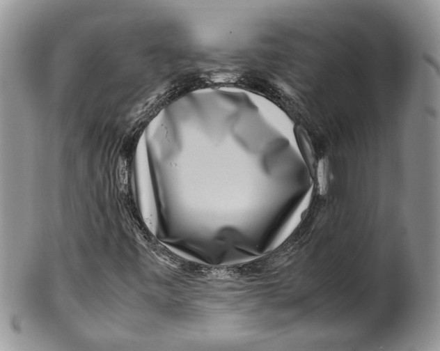 X0000099941443200806131415