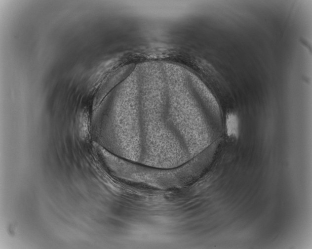 X0000099941444200806131415