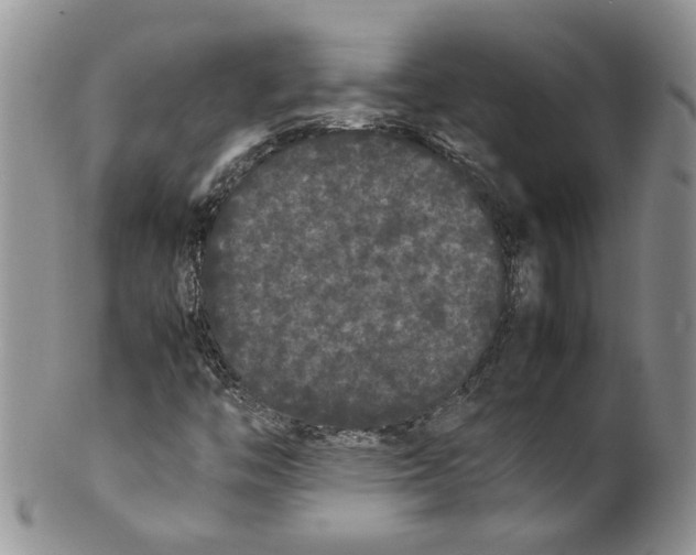 X0000099941446200806131415