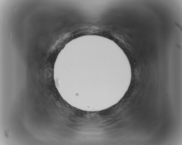 X0000099941447200806131415