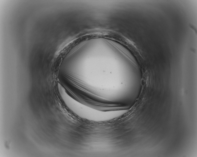 X0000099941448200806131415