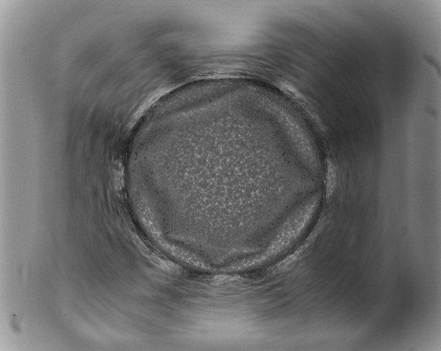 X0000099941449200806131415