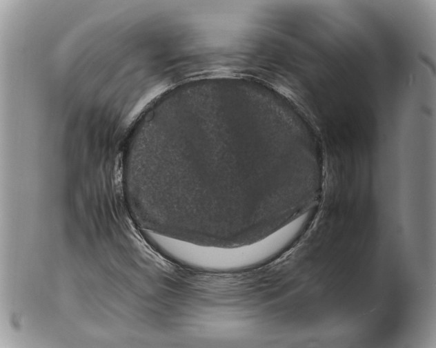 X0000099941450200806131415