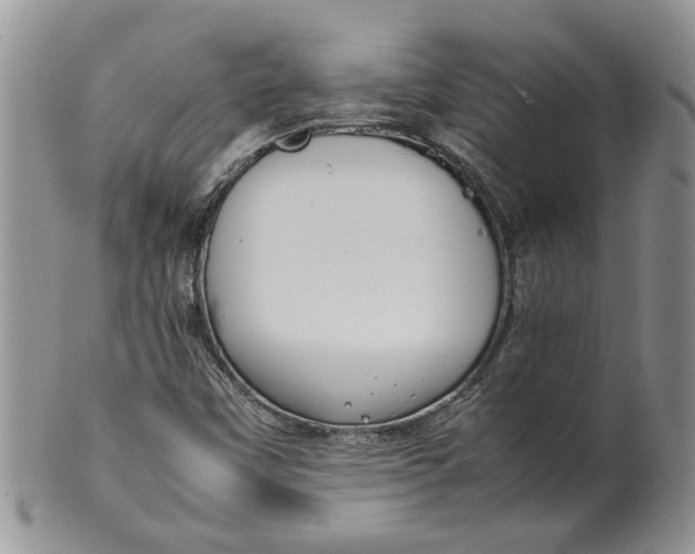 X0000099941451200806131415