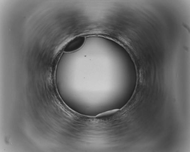 X0000099941452200806131414