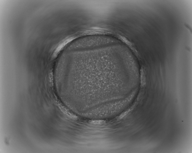 X0000099941453200806131414