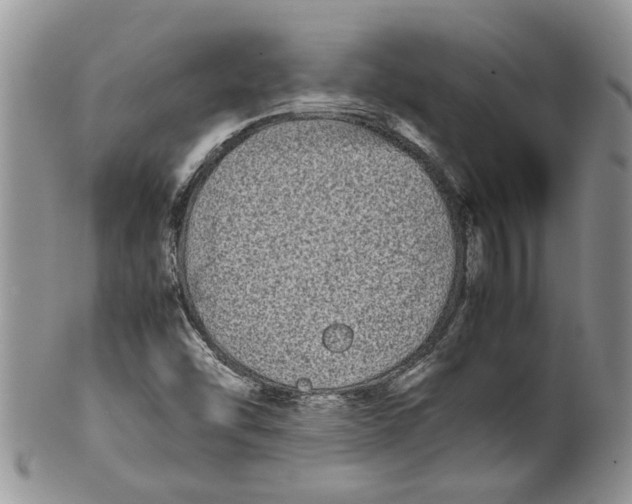 X0000099941454200806131414