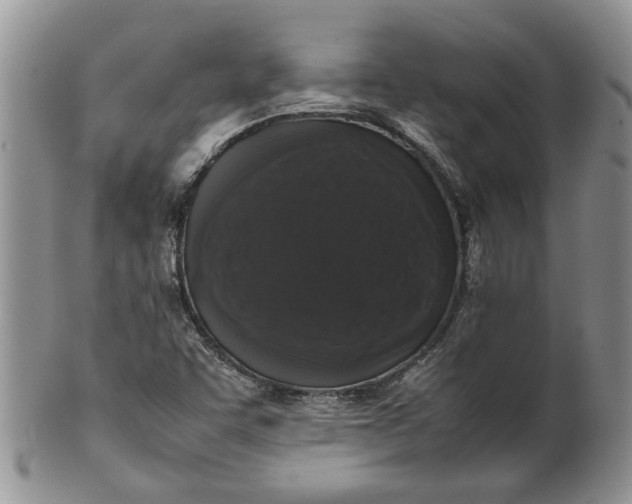 X0000099941455200806131414