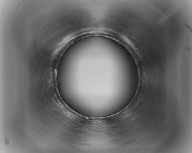 X0000099941456200806131414