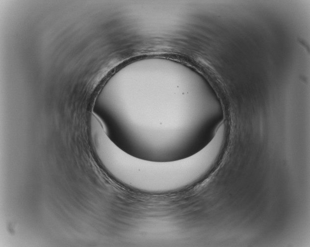 X0000099941457200806131414