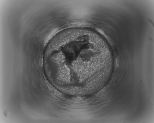 X0000099941459200806131414