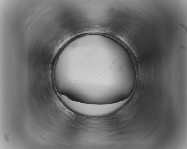 X0000099941460200806131414