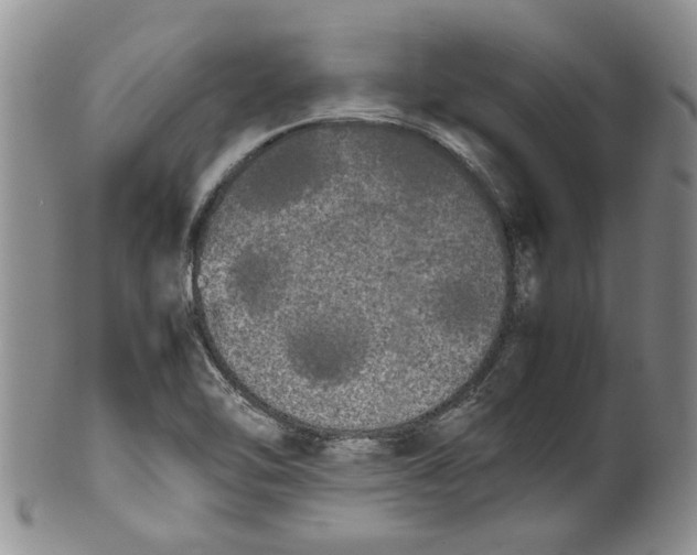 X0000099941462200806131414