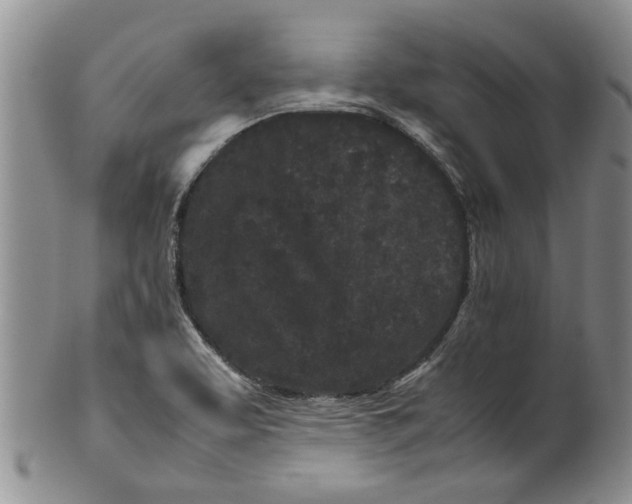 X0000099941463200806131414