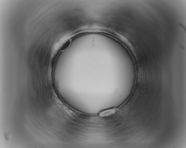 X0000099941464200806131414