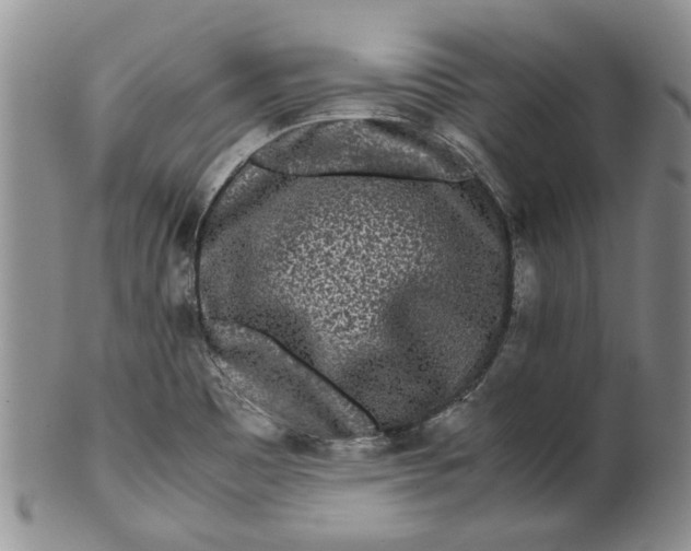 X0000099941465200806131414