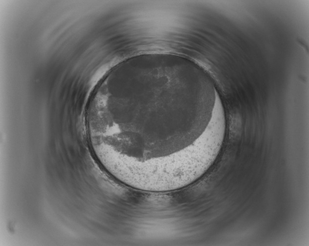 X0000099941466200806131414