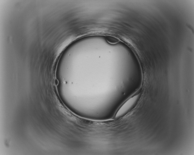 X0000099941467200806131414