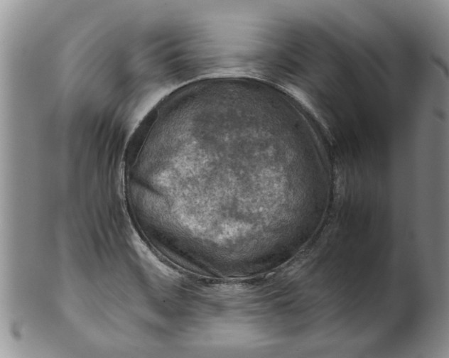 X0000099941468200806131414