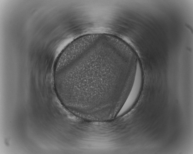 X0000099941469200806131414