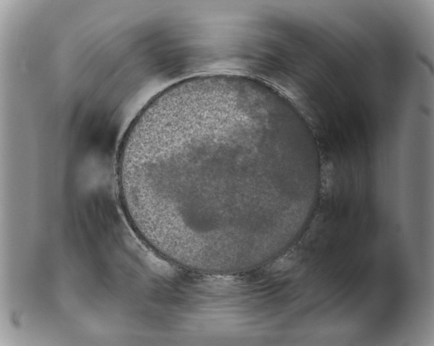 X0000099941470200806131414