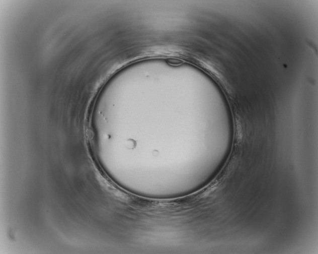 X0000099941471200806131414