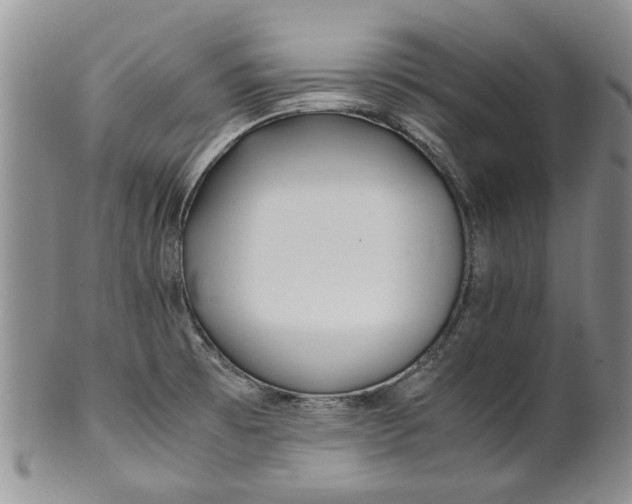 X0000099941473200806131414